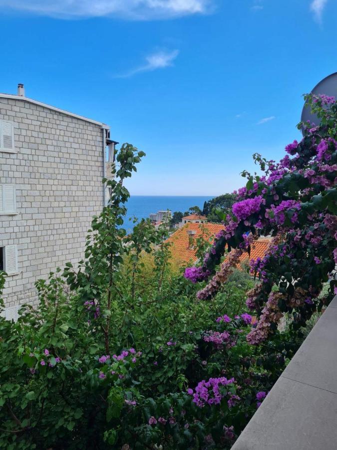 Apartments Deranja II دوبروفينك المظهر الخارجي الصورة